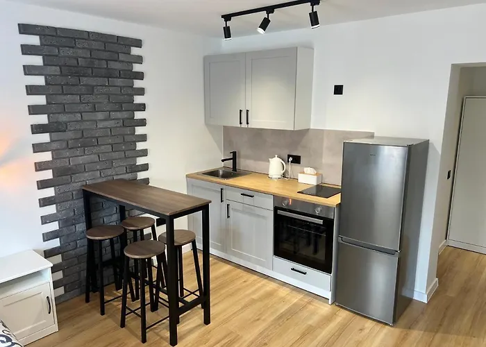 Apartment White And Black Katowice